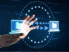 Ensure Code Accuracy in UAE